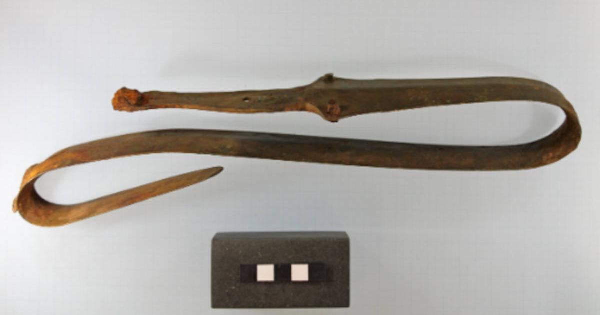 Bronze Age Sword Found in Danish Bog Leads to Hoar